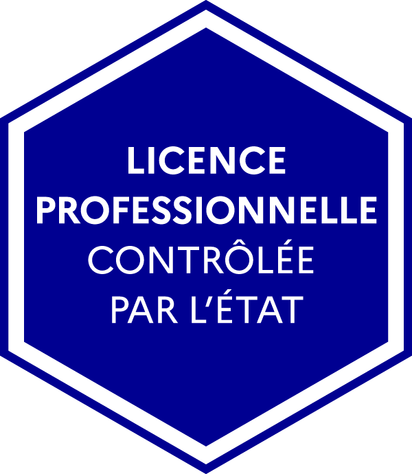 Macaron diplôme national de Licence Professionnelle contrôlé par l'Etat